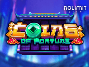 Coins Of Fortune thumbnail